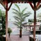 7-Foot Artificial Palm Tree Plant - Lifelike Indoor/Outdoor Fake Tropical Palm for Home Decor & Office Ambiance, Floral Home by Artificial Flowers